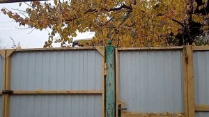 Луна 5 ноября. Вечер, утро и вечер 6 ноября.