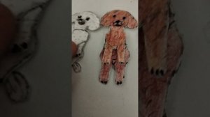 Продаю щенков??? 
Новый щенок?