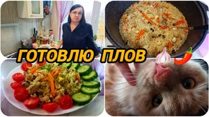 БЕШЕНОЙ СОБАКЕ СЕМЬ ВЕРСТ НЕ КРЮК 🤣 ИЛИ ВКУСНЫЙ ПЛОВ 🧄🌶️ НА УЖИН 😋