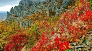 Осень в Крыму кто ещё не видел - посмотрите и послушайте песню про Бабье лето.