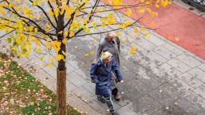 В Госдуме назвали средний размер страховых пенсий в 2026 году