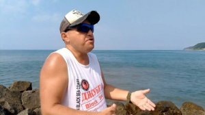 Три дельфина Чёрного моря