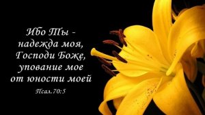 Когда сердца касается Бог | стихи христианские