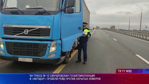 На трассе М-12 свердловская Госавтоинспекция и «Автодор» провели рейд против скрытых номеров