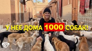 21 · И она спасла еще 7000 собак! Невероятная история Салли!