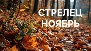 СТРЕЛЕЦ. ТАРО ПРОГНОЗ НА НОЯБРЬ