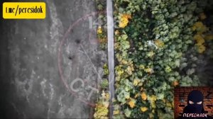 Борьба за "малое небо"