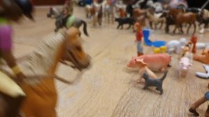 ~тренерова сары и мистери~