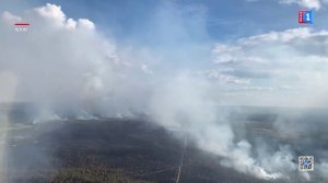 Дайджест новостей от 06.11.2025