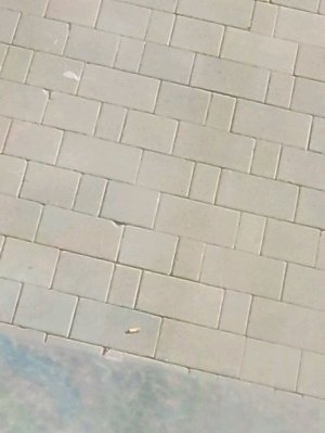 правила рутуба