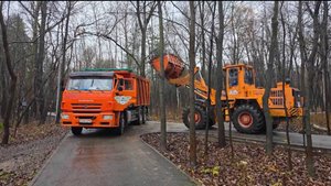 Аварийные деревья начали сносить в Непейцевском дендропарке в Уфе