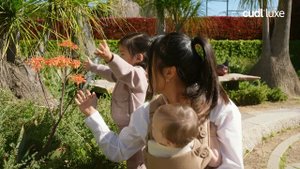 Рюкзак NUna CUDL luxe