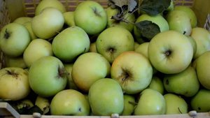 Вот что нужно готовить из яблок!  Яблочный пирог за 10 минут + время для выпечки!