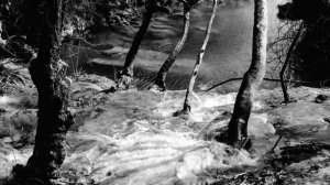 ПРОСТИТУТКА | Страшные истории на ночь Ужасы Мистика