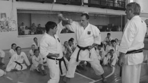 И. Йорга 2013 Сочи тактика кумитэ