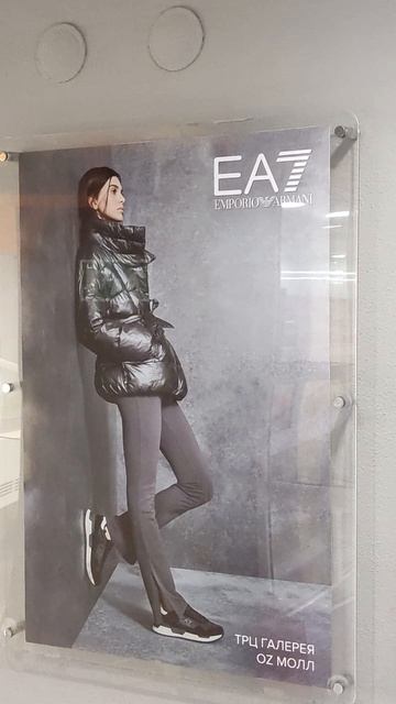 Проекты ноябрь