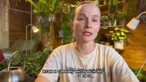 Как поливать комнатные растения?