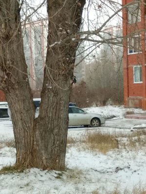 удалили зуб 🦷 ❤️💙