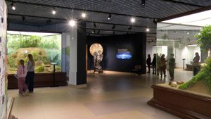 От классики до фолк-рока: как в Рязани прошла «Ночь искусств»