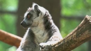 МУЗЫКА, КОТОРАЯ ТРОГАЕТ ДУШУ