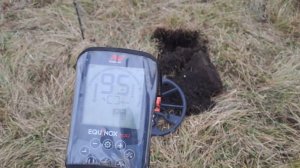 Снова пошёл в забытую деревню и не зря. Копаю с EQUINOX 700