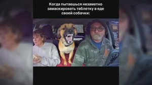 #смешныевидео -130