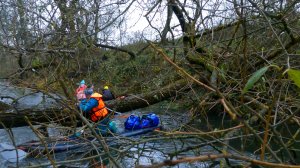 Бобровый квест на Северке 04112025