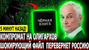 Тайный отчёт Белоусова что нашли в чёрной книге элиты