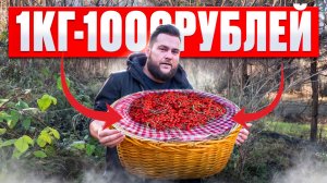 ЗАРАБОТОК БЕЗ ВЛОЖЕНИЙ/КАК ПРОДАТЬ РЯБИНУ?