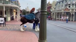 video_2025-10-17_18-01-55