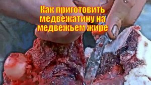 Как приготовить медвежатину на медвежьем жире