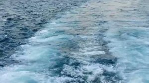 #приятная поездка на теплоходе в море