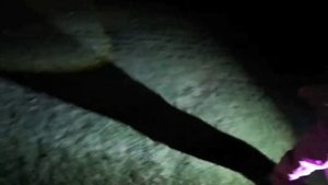 ночная прогулка