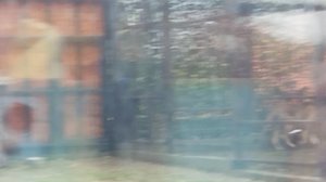 У Шерхана обед