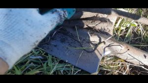 #ДВОЕ С ЛОПАТОЙ#13