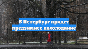 В Петербург придет предзимнее похолодание