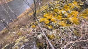 Активный отдых в Сибирском лесу