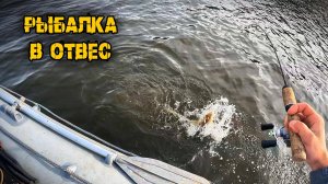 Осенняя рыбалка в отвес, судак дубасит вибы, р.Кама