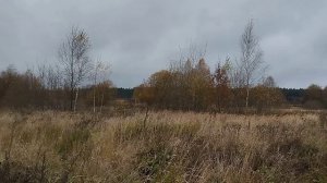 50:04:0000000:101510