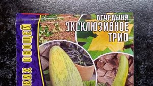 Хотите посмеяться? Как я купила семена огурдыни