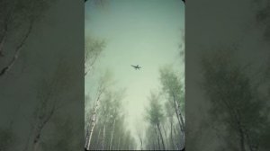 Роберт Рождественский — Огромное небо