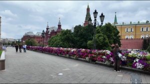 Лавандовые поля в центре Москвы: летний фиолетовый рай среди небоскрёбов 🌸🏙️ 2025