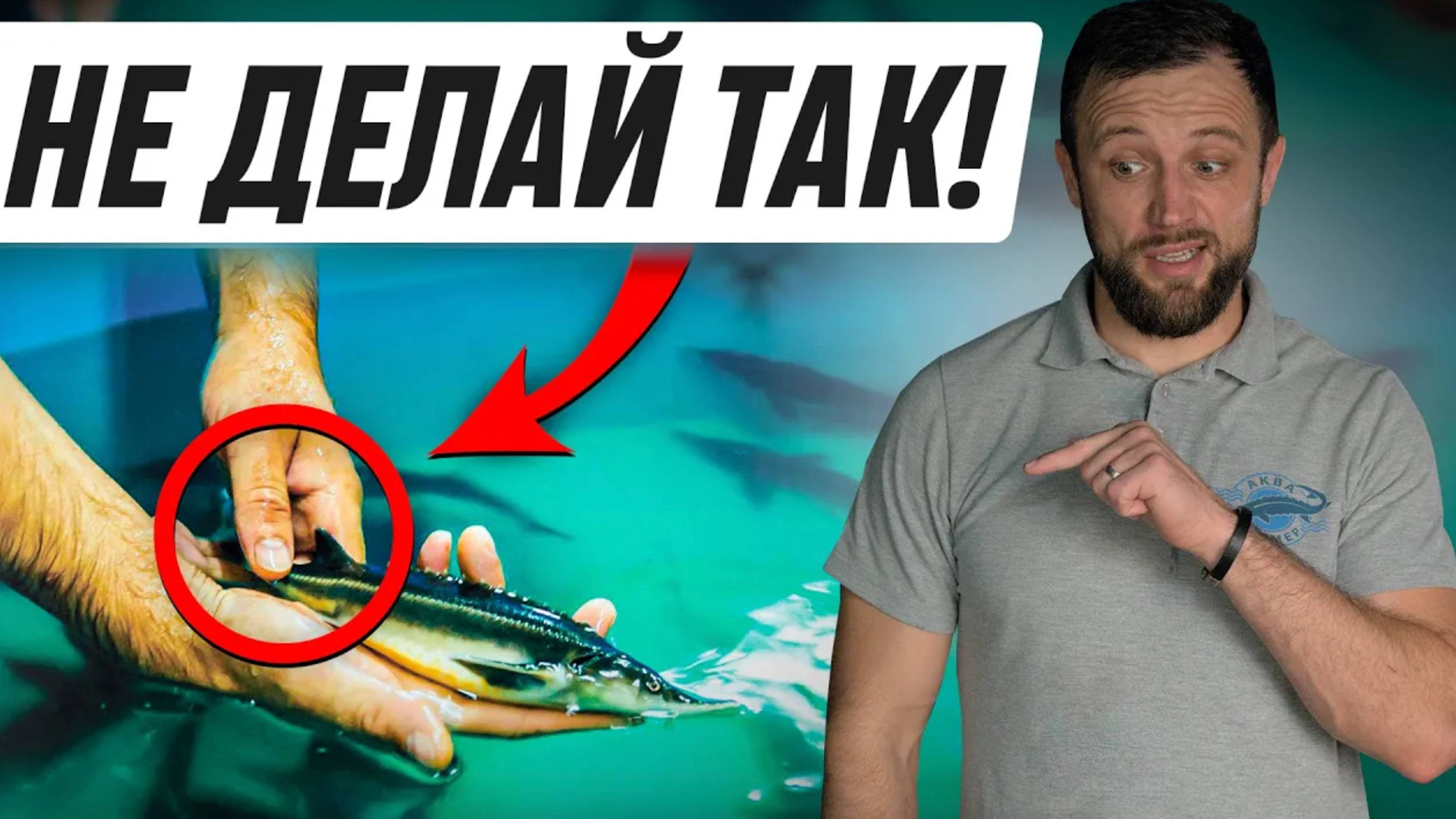 Из-за этой ОШИБКИ Рыба В УЗВ РАСТЕТ в 3 РАЗА ДОЛЬШЕ! смотреть онлайн