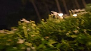 01.11.2025 Последний день во Вьетнаме