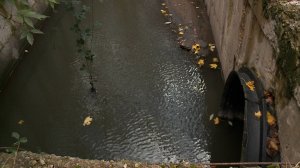 Проблемы с канализацией в одном из СНТ Ставрополя