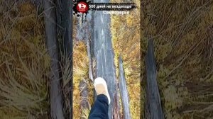 06-11-2025 Семиозерье. Природа Сибирской тайги. 500 дней на вездеходе.