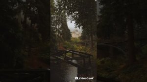 ИИ-"Beautiful girl"
Авторы текста я и Араш 
Музыка и исполнение ИИ.