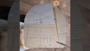 1000039425.mp4 (Собака смотрит на монтаж электропроводки (итог распайки р/коробок) в доме А-фрейм)