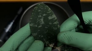 Самая вредная хойя