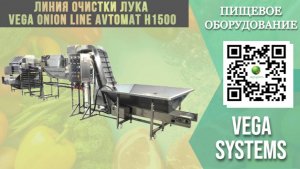 Технология очистки лука на линии Vega Onion Line Avtomat Н1500